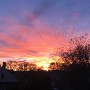 Meet your Posher, Paige